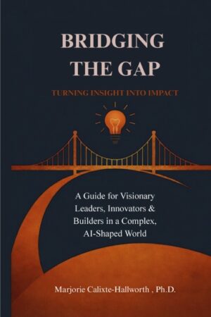 Bridging the Gap: Turning Insight Into Impact (Paperback)