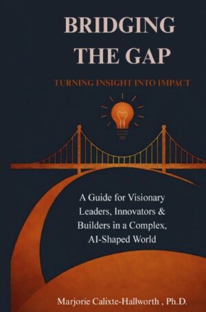 Bridging the Gap: Turning Insight Into Impact (Hardcover)